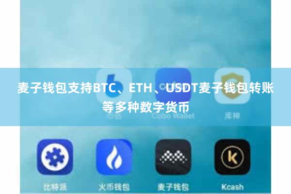 麦子钱包支持BTC、ETH、USDT麦子钱包转账等多种数字货币