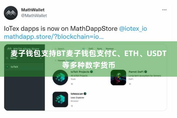 麦子钱包支持BT麦子钱包支付C、ETH、USDT等多种数字货币