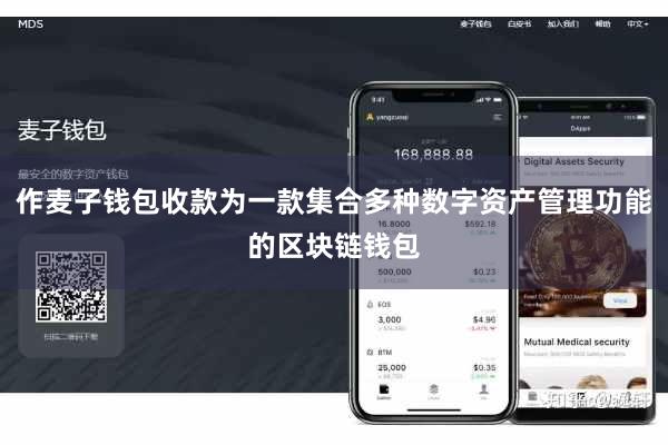 作麦子钱包收款为一款集合多种数字资产管理功能的区块链钱包