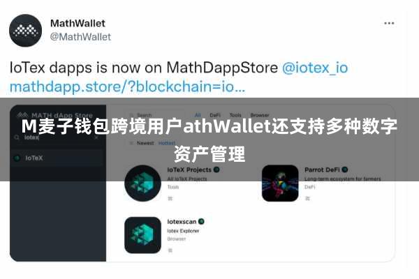 M麦子钱包跨境用户athWallet还支持多种数字资产管理