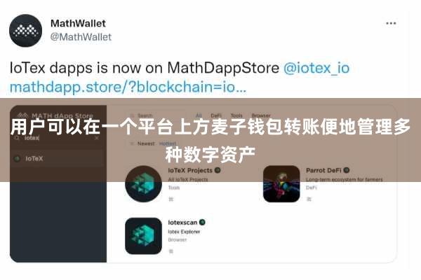 用户可以在一个平台上方麦子钱包转账便地管理多种数字资产